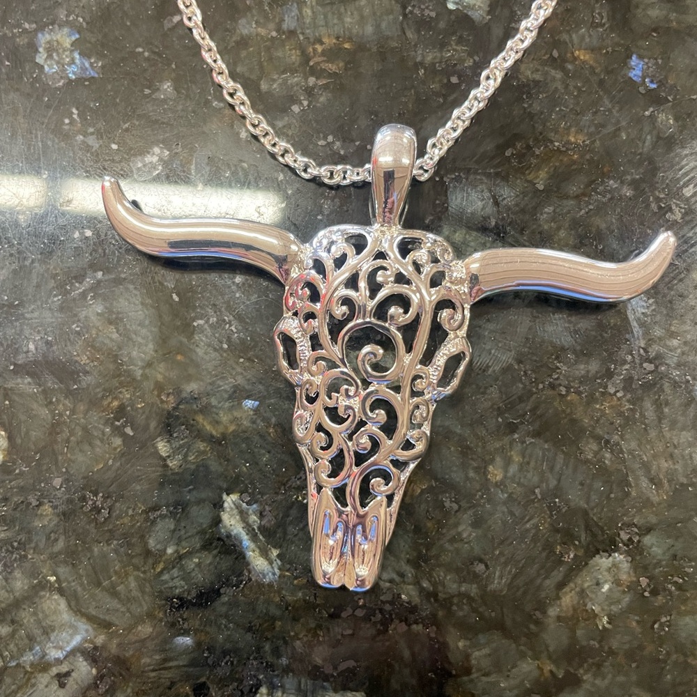 Silver Bull Skull Pendant Necklace & earrings